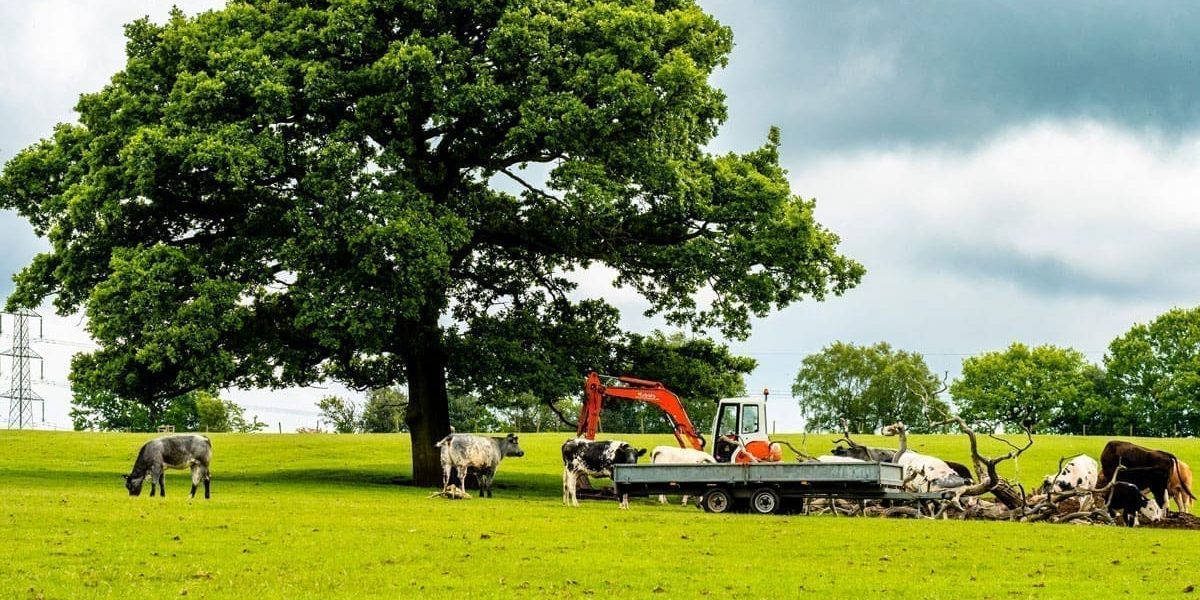 %%title%% %%page%% %%sep%% Agricultural Plant